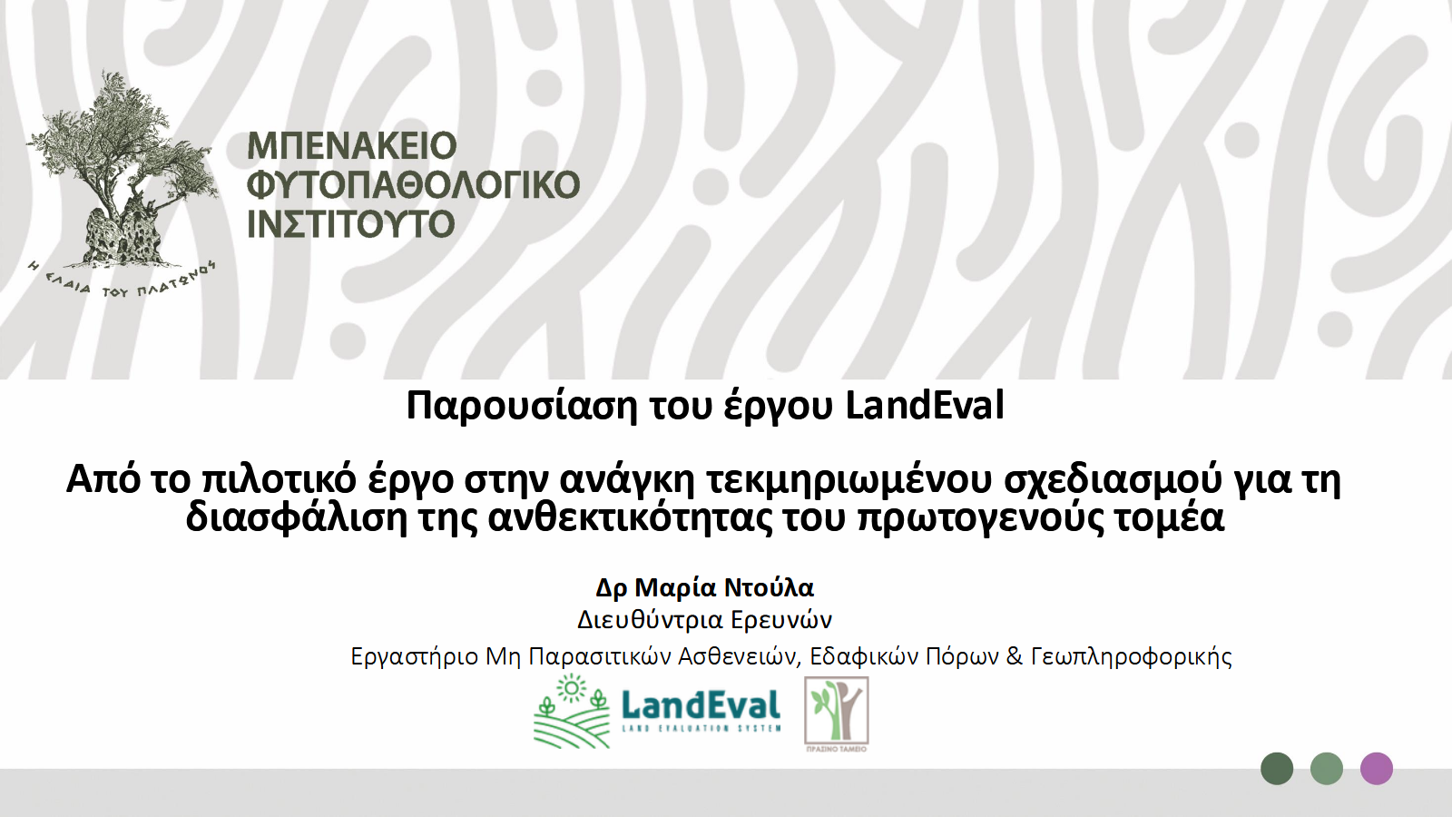 Ντούλα Παρουσίαση